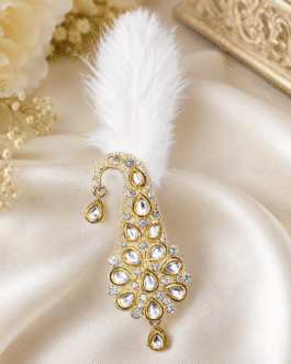 Rajveer Feather Kalgi