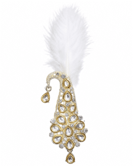 Rajveer Feather Kalgi